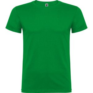 Roly CA6554 - BEAGLE Short-sleeve t-shirt with double layer crew neck in elastane Kelly Green