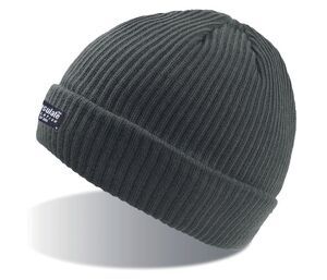 Atlantis AT102 - Beanie with Thinsulate Lining Grey