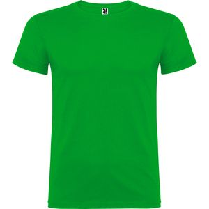 Roly CA6554 - BEAGLE Short-sleeve t-shirt with double layer crew neck in elastane Grass Green