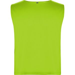 Roly PT0414 - AJAX Breathable sports pinnie Green Fluor