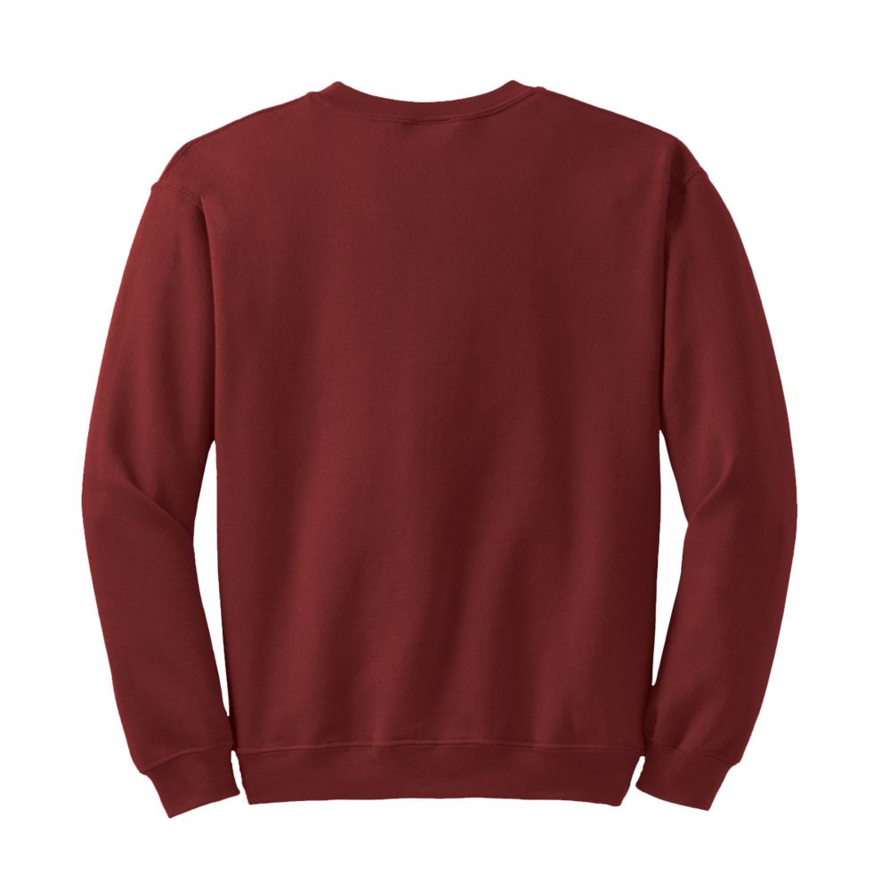 Radsow Apparel - Sweatshirt Col Rond Paris pour hommes