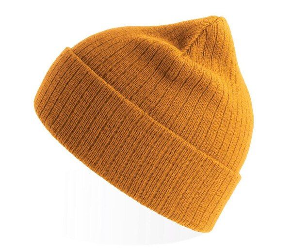 Atlantis AT208 - Recycled polyester beanie