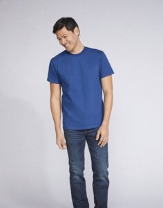 1213219 medium
