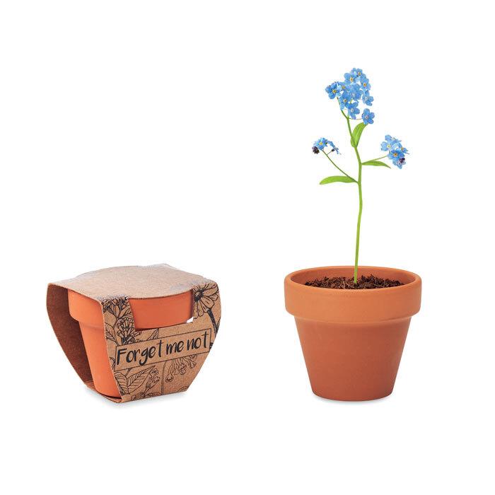 GiftRetail MO6146 - FORGET ME NOT Terracotta pot 'forget me not'