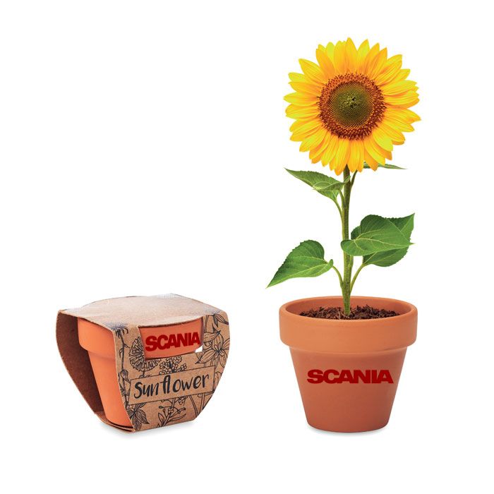 GiftRetail MO6147 - SUNFLOWER Terracotta pot 'sunflower'