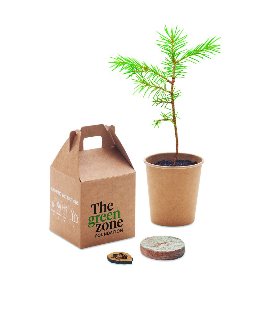 GiftRetail MO6228 - GROWTREE™ Pine tree set