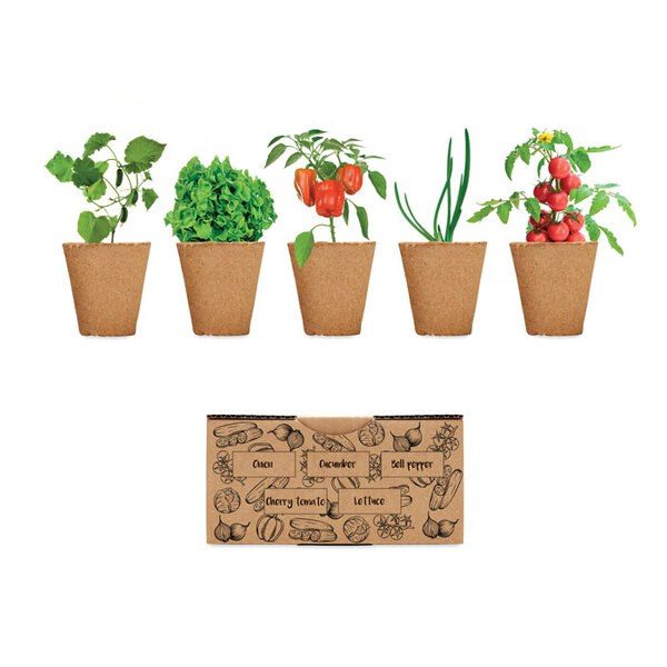 GiftRetail MO6499 - SALAD Kit de cultivo de verduras