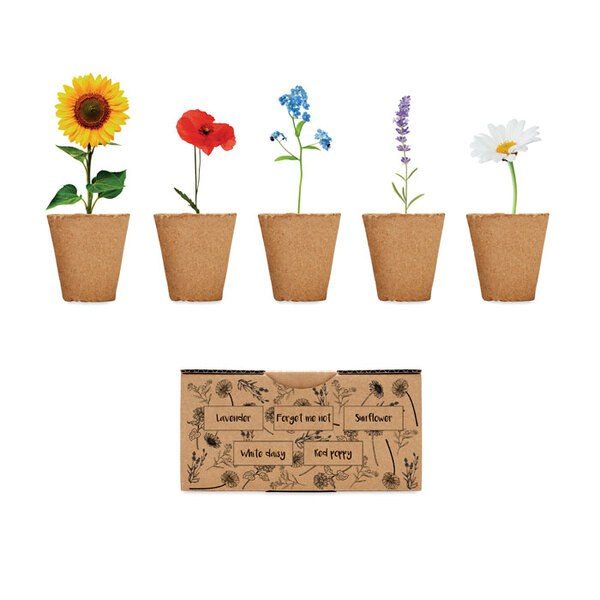 GiftRetail MO6500 - FLOWERS Kit de cultivo de flores