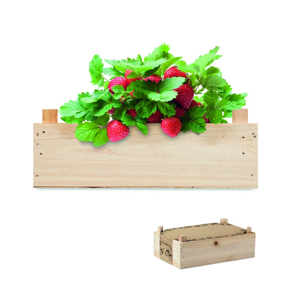 GiftRetail MO6506 - STRAWBERRY Strawberry kit in wooden crate