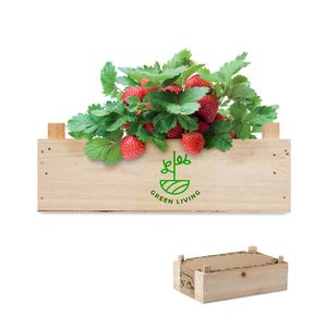 GiftRetail MO6506 - STRAWBERRY Kit per coltivare fragole Wood