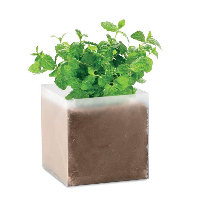 GiftRetail MO9546 - MINT Compost with seeds "MINT"