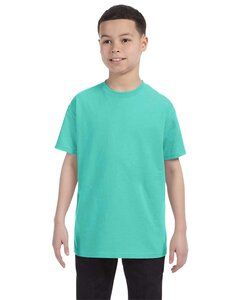 1261952 medium