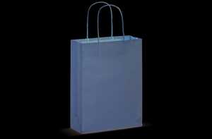 TopEarth LT91622 - Paper bag with twisted handles 90g/m² 18x8x22cm