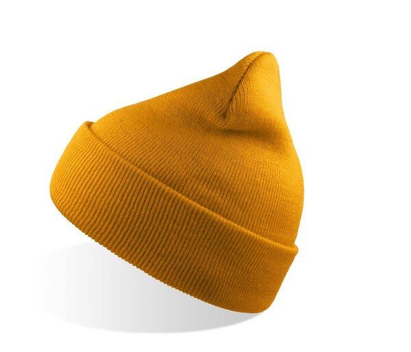 ATLANTIS HEADWEAR AT235 - Gorro Ecológico Doble Capa para Bordado