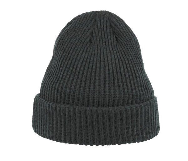 ATLANTIS HEADWEAR AT271 - Eco-Friendly Ribbed Beanie with Polartec Lining