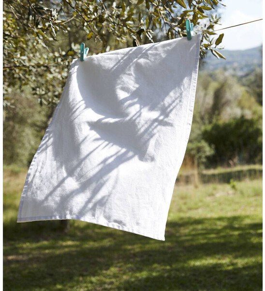 Westford Mill WM701 - Elegant Cotton Tea Towel for Kitchen and Dining