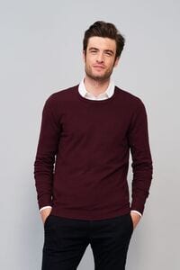 Sols 01712 - Pull Col Rond Homme Ginger