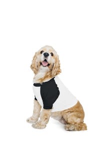 American Apparel AMBB953 - T-shirt pour Chien