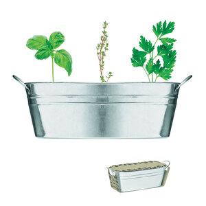 midocean MO6497 - MIX SEEDS Zinc tub with 3 herbs seeds