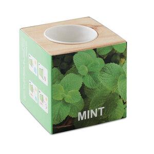 GiftRetail MO9337 - MENTA Herb pot wood "MINT"