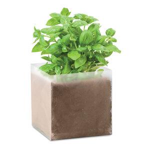 GiftRetail MO9545 - BASIL Compost with seeds "BASIL"