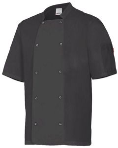 Velilla 405205 - GIACCA CUCINA MC
