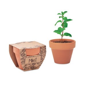 GiftRetail MO2218 - MINT POT Terracotta pot mint seeds
